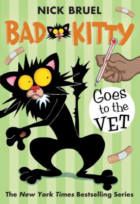 bad kitty vet